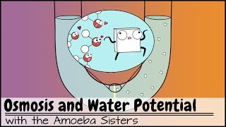 Osmosis and Water Potential Updated [upl. by Halla409]