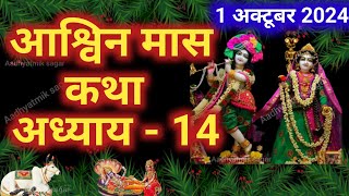 आश्विन मास कथा  अध्याय 14  Ashwin Maas Ki Katha Day 14 Ashwin mahatmya adhyay 14 [upl. by Aiykan]