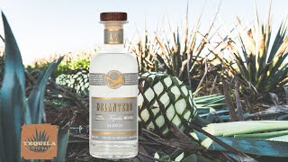 Tequila Aficionado Sipping Off The Cuff ® review of Delantero Blanco Tequila [upl. by Cyprus]