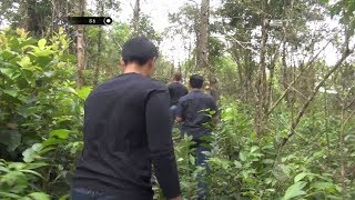 Pencarian Napi Yang Kabur di Perkebunan Warga [upl. by Brianna653]