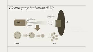 Quickly understand various types of LCMS [upl. by Ahsinroc]