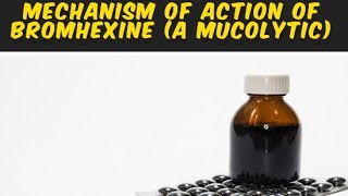 Mechanism of action of Bromhexine [upl. by Nido171]