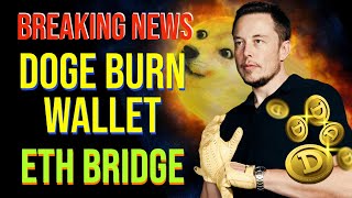 DOGECOIN BREAKING NEWS DOGE BURN WALLET  ETH BRIDGE [upl. by Ayekal]