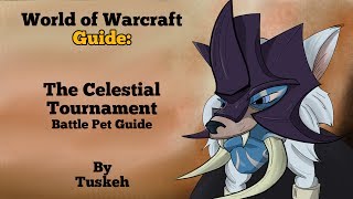 WoW Celestial Tournament Guide [upl. by Ellicul845]