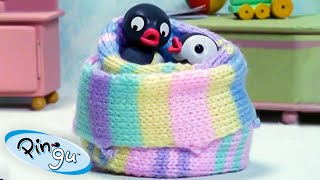 Pingu Gets Creative 🐧  Pingu  Official Channel  Cartoons For Kids [upl. by Tiny68]