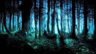 Frederic Chopin  Mysterious Forest [upl. by Umeh908]