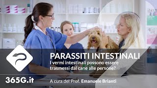 Parassiti Intestinali 2  I vermi intestinali possono essere trasmessi dal cane alle persone [upl. by Hakvir938]