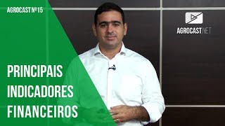 Principais Índices Financeiros das fazendas mais lucrativas [upl. by Aruabea73]