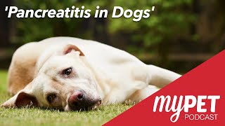 myPET Podcast Pancreatitis in Dogs [upl. by Eimirej]