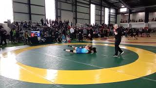 2024 OFSAA Wrestling Tablet 8 [upl. by Jewett615]