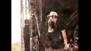 Deftones Live Pinkpop 2003 [upl. by Avi]