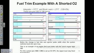 Chapter 4 Oxygen Sensors and Fuel Trim  an SD Premium preview [upl. by Akinam]