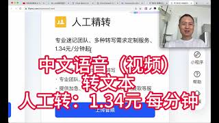 中文语音（视频）人工转文本 ：134元 每分钟 [upl. by Dunston]