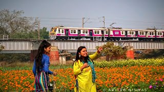 Trains over Khirai flower garden  Speedy trains passing through the flower valley [upl. by Navar]