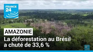 La déforestation de lAmazonie au Brésil a baissé dun tiers au premier semestre • FRANCE 24 [upl. by Moss673]