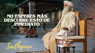 Orador Sadhguru  no esperes más descubre esto de inmediato [upl. by Krusche]