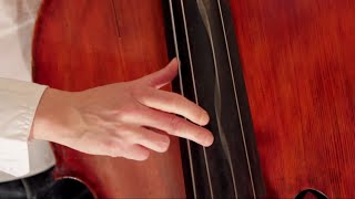 BURNING UPRIGHT BASS SOLO  Nenad Vasilic [upl. by Ardnuasal]