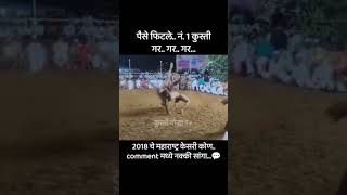 Maharashtra Kesari secunder Sheikh kushti Dangalkushti [upl. by Anawyt]