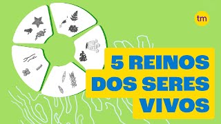 Conheça os 5 Reinos dos seres vivos [upl. by Liebermann]