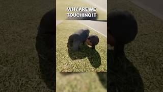 Rating Touch Grass Together gaming funny [upl. by Anelrahc885]