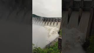 Bariga Padina Varsaniki Srisailam Dam 10 Gates open chesiru roadlu closed dont go shorts [upl. by Rees]