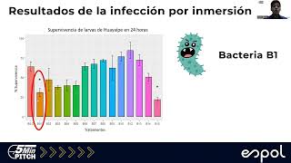 Evaluación de patogenicidad y virulencia aislados bacterianos sobre larvas y juveniles de huayaipE [upl. by Lombardy]