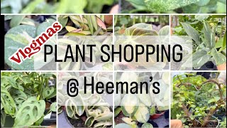 Plant shopping  Heeman’s hoya philodendron and uncommon plants vlogmas￼ [upl. by Martres844]