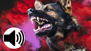 ANGRY Dogs Barking Sound Effect [upl. by Adlai601]