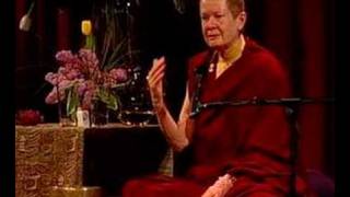 Pema Chödrön Stopping the Cycle of Aggression [upl. by Cameron]