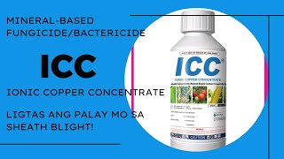 ICC FungicideBactericide Ionic Copper Concentrate [upl. by Rezeile]