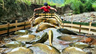 Using bamboo to make fish traps using the ancient method The boy caught a lot of fish [upl. by Daphna]