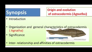 Origin evolution and general characters of Agnatha Ostracoderms and CyclostomesMsc zoology final [upl. by Eeslek]