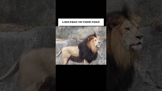 Tiger Roar vs Lion Roar  Which is LOUDERPart One [upl. by Yleen]