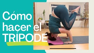 Cómo hacer postura TRIPODE ✨YOGA ✨ Postura Invertida ✨Balance de brazos y cuerpo ✨TRIPIE De cabeza ✨ [upl. by Leifer]