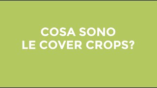 Cosa sono le COVER CROPS [upl. by Enilecram]