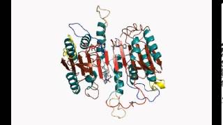 Procaspase3 conformational change [upl. by Elnukeda]