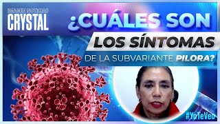 “Pilora” Síntomas y medidas de prevención  Noticias con Crystal Mendivil [upl. by Dahlstrom]