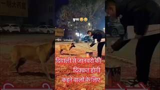 दिवाली में जानवरो पर GYAN BANTNE वालों के लिए diwali festival trending shorts [upl. by Dnomaj]