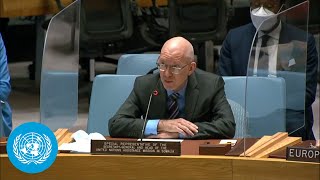 The situation in Somalia  UN Security Council Briefing [upl. by Kcirddor788]