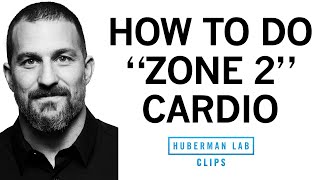 How amp Why to Get Weekly quotZone 2quot Cardio Workouts  Dr Andrew Huberman [upl. by Nolaf]