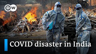 Indias COVID death toll may be much higher than officially recorded  DW News [upl. by Einial]