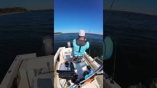 Trolling up Rockfish in the Patuxent River [upl. by Bianka]