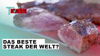 Wer grillt das beste Steak der Welt Die GrillWM in Stuttgart  Focus TV Reportage [upl. by Photima]