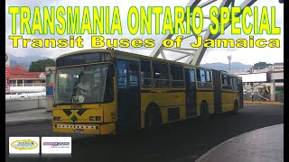 Transit Buses in Jamaica JUTC [upl. by Aramac]