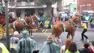 Horses get out of control during St Pats Parade [upl. by Hawken]