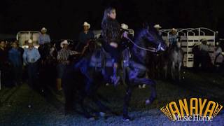 Alma Dominguez bailando el Caballo en Villa Juarez 2017  Suscribete y Comparte el vídeo [upl. by Bywaters378]