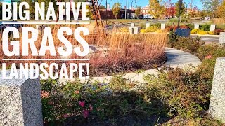 Big downtown native grass landscape tour [upl. by Eseeryt124]