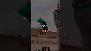 Akele hai Zahra bibifatimazehra ayyamefatimazehra molaali youtubeshortsshortvideo islamicvideo [upl. by Perri]