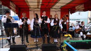 Die Hauskapelle Avsenik beim Stadtfest in Feldkirchen [upl. by Aerdnahs]