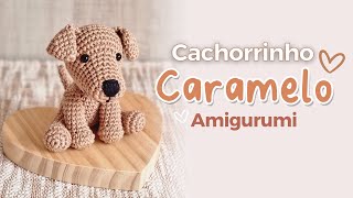 Cachorrinho Amigurumi Passo a Passo – Aula Completa [upl. by Swanhildas]